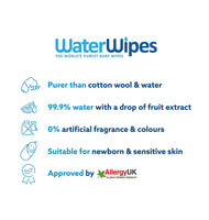 WaterWipes-(pack of 60 wipes)-the-elephant-in-a-box-