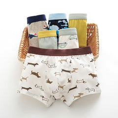 Boys Boxers