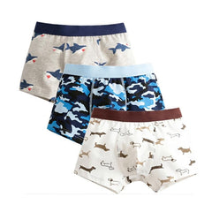 Boys Boxers