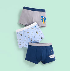 Boys Boxers