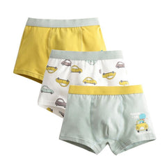 Boys Boxers
