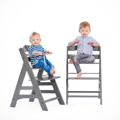 Hauck Alpha+ High Chair